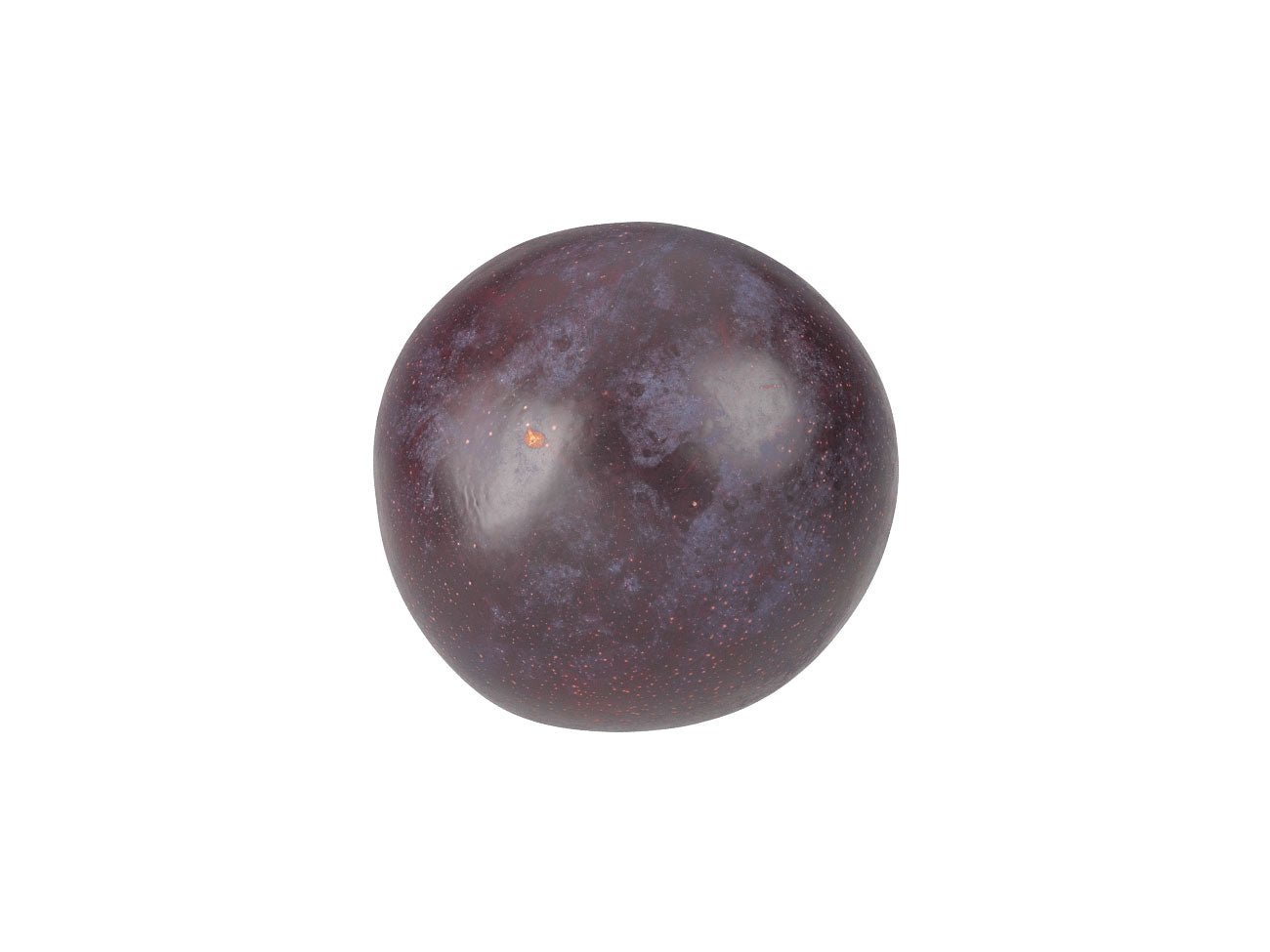 Plum #2