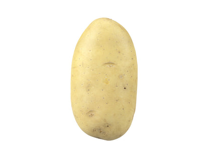 Potato #3