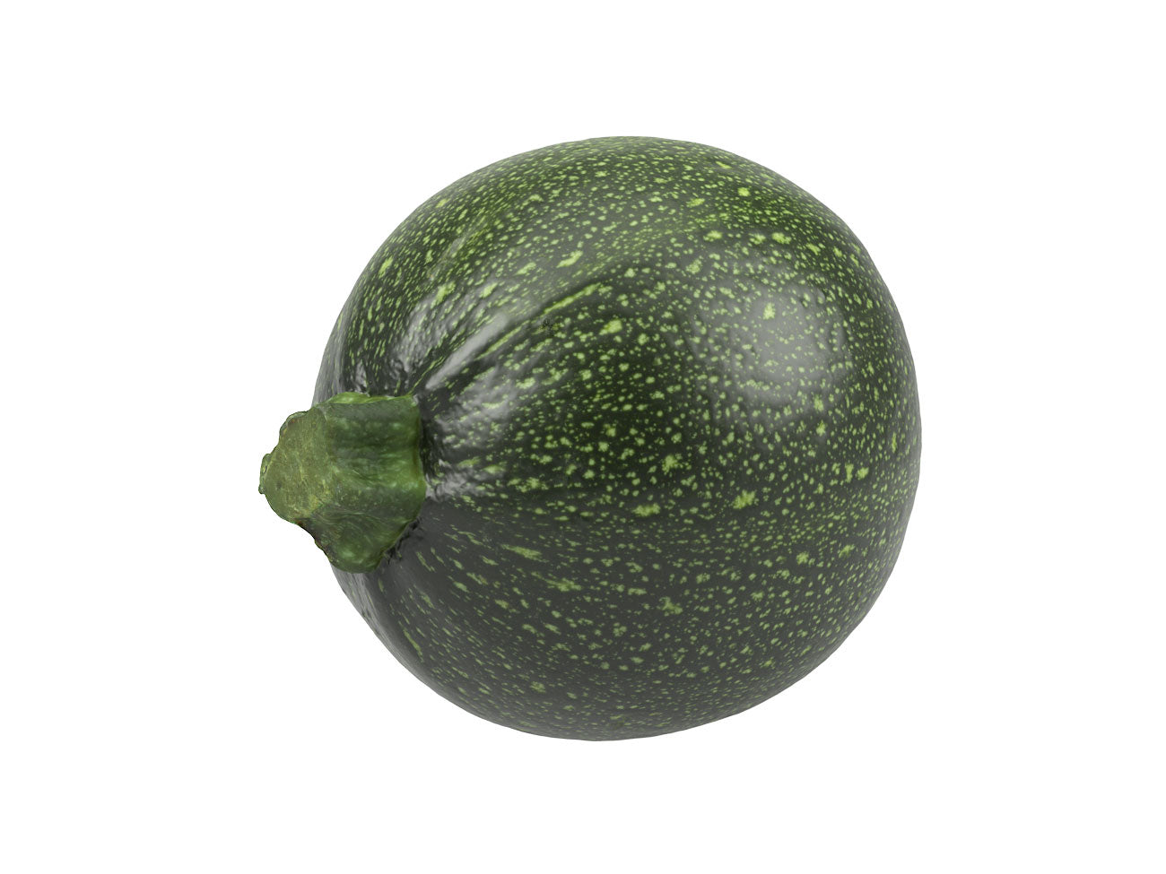 Round Zucchini #1