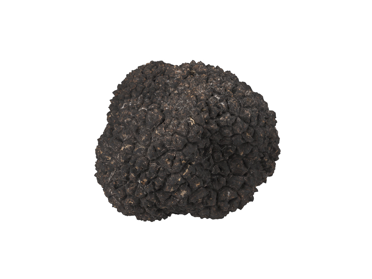 Truffle#1