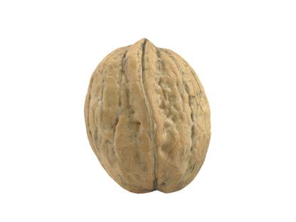 Walnut #1