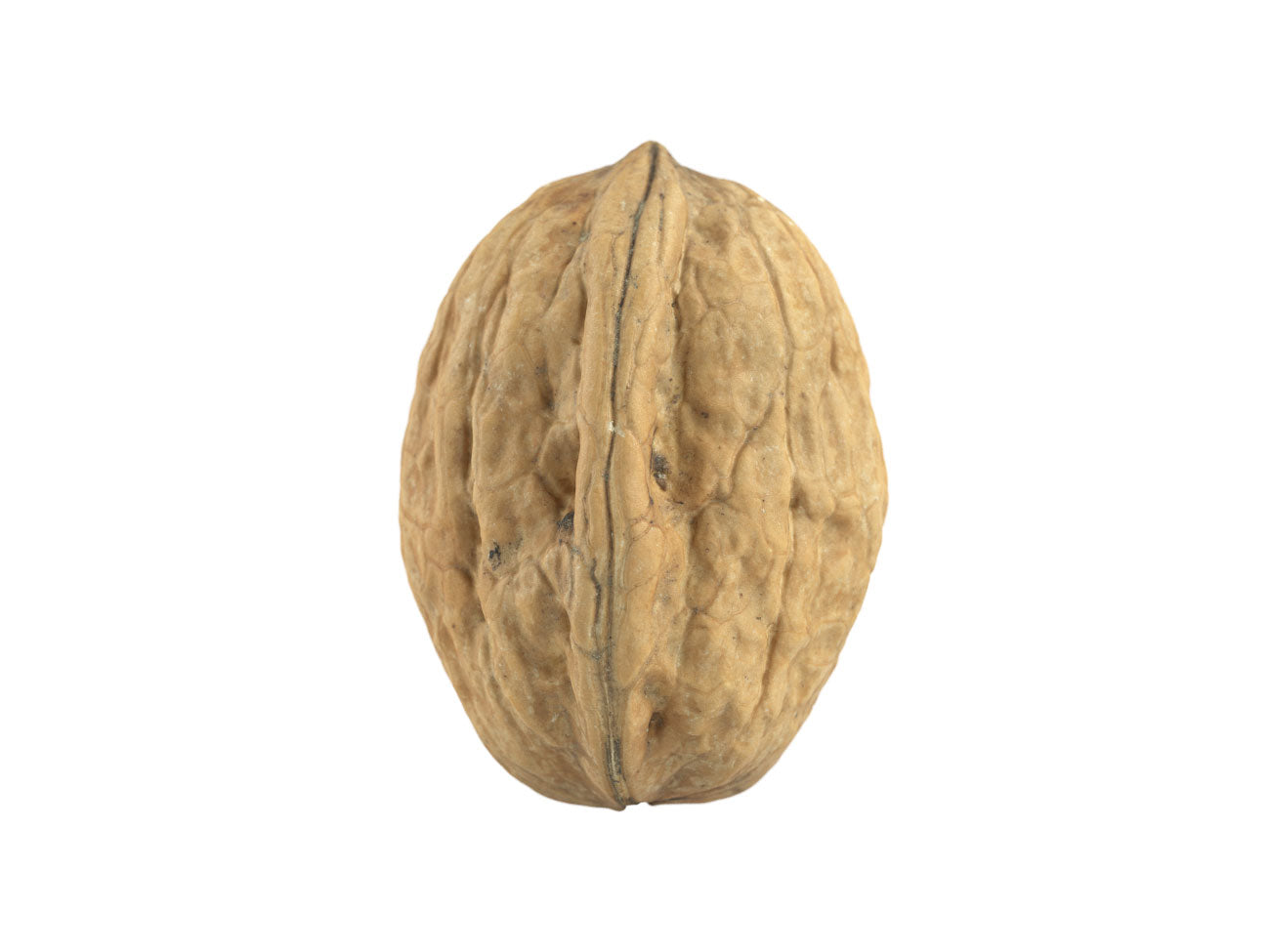 Walnut #3