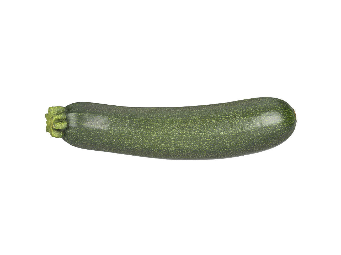 Zucchini #1