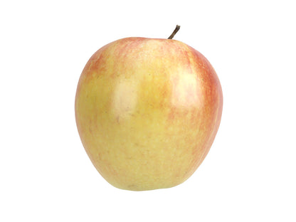 Apple #1