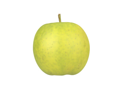 Apple #5