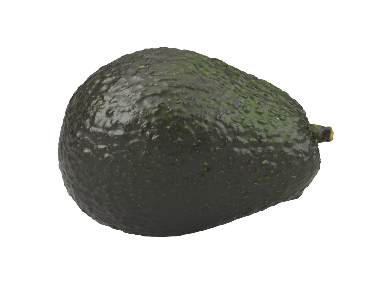 Avocado #1