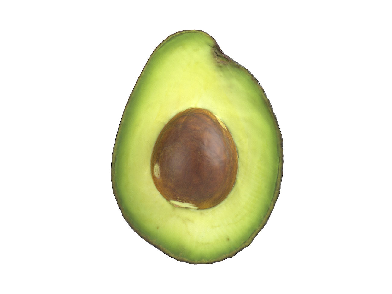 Avocado Half #1