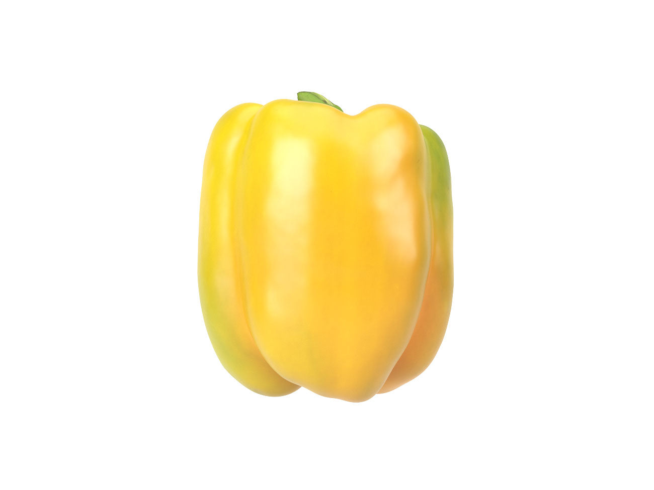 Bell Pepper #1