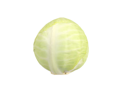 Cabbage #1