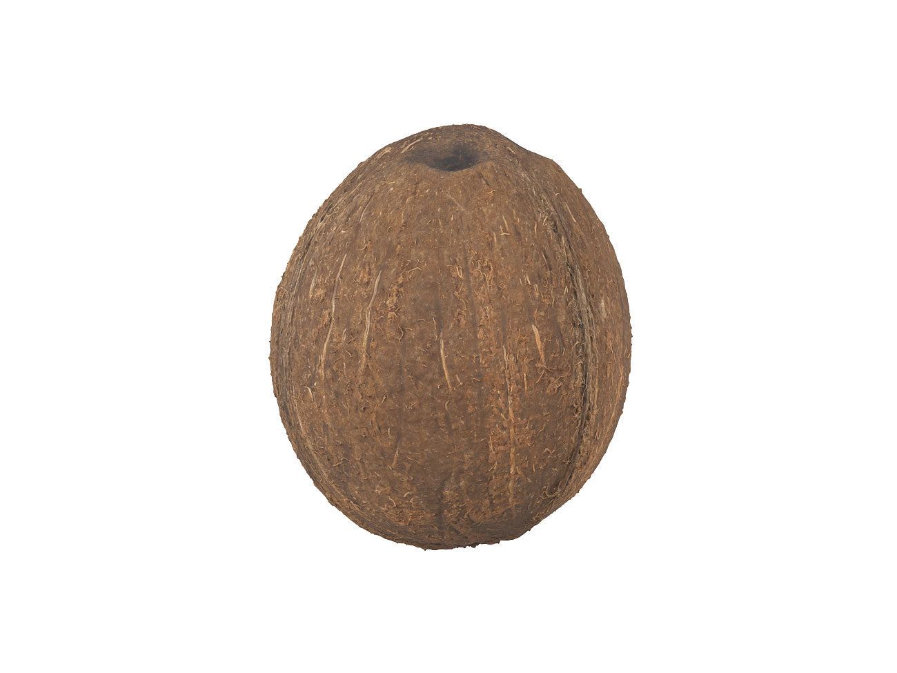 Coconut #1