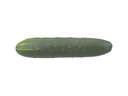 Cucumber #1