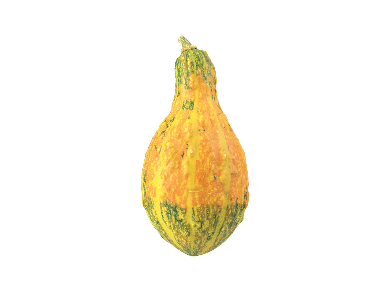 Decorative Gourd #1