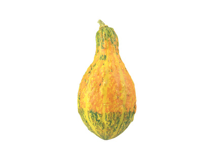 Decorative Gourd #1