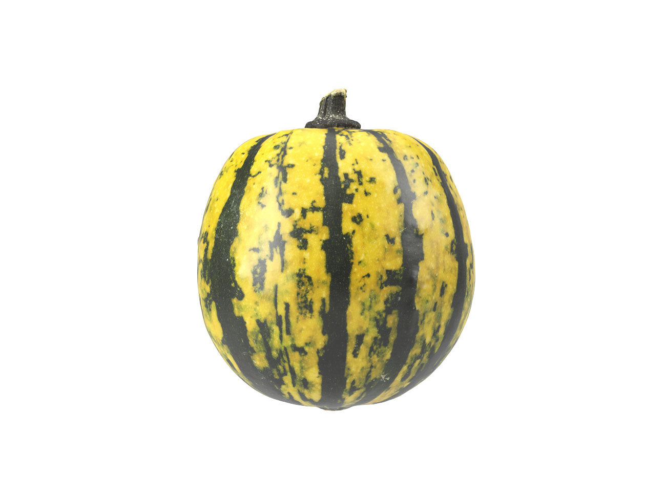 Decorative Gourd #2