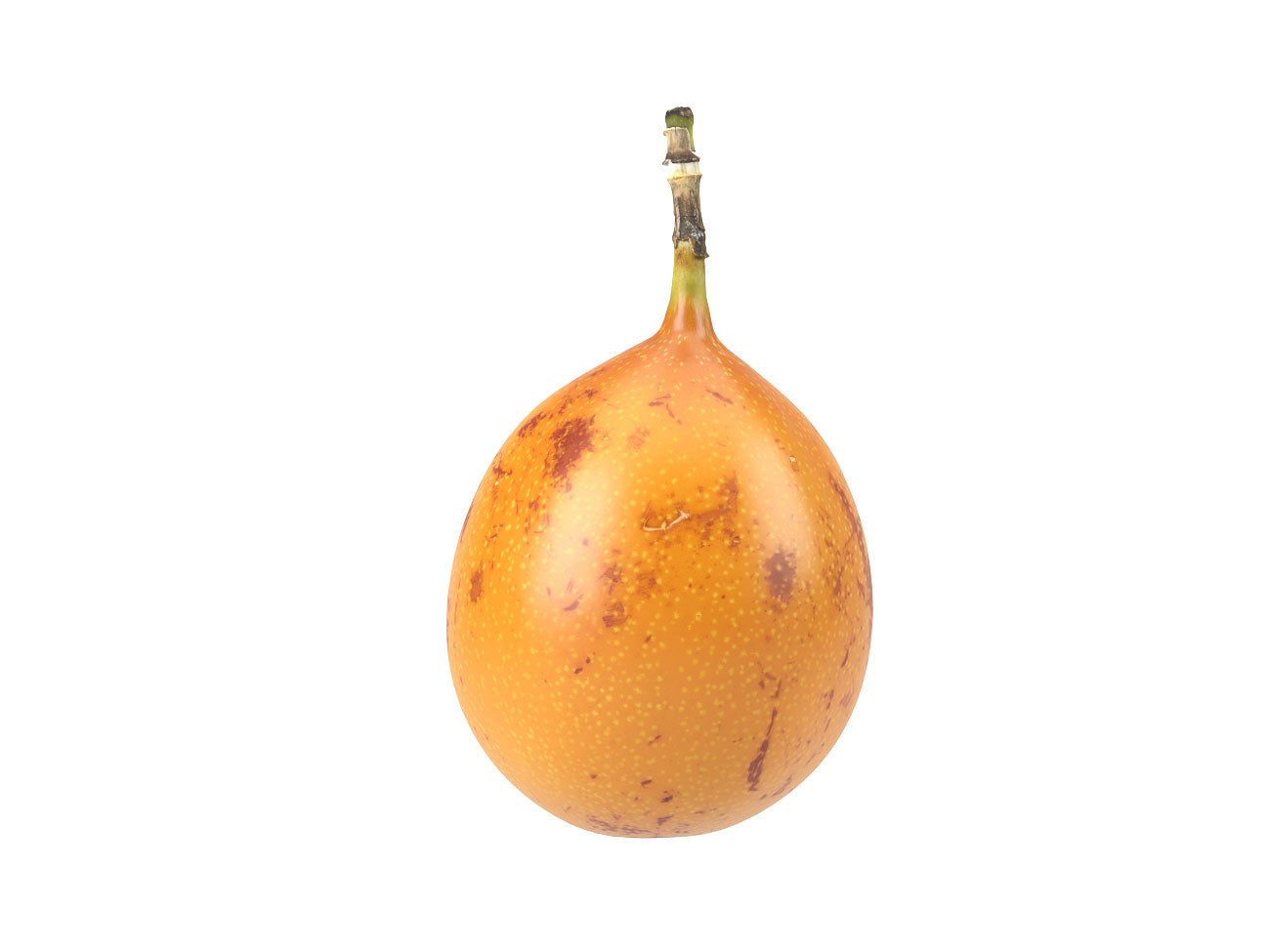 Granadilla #1