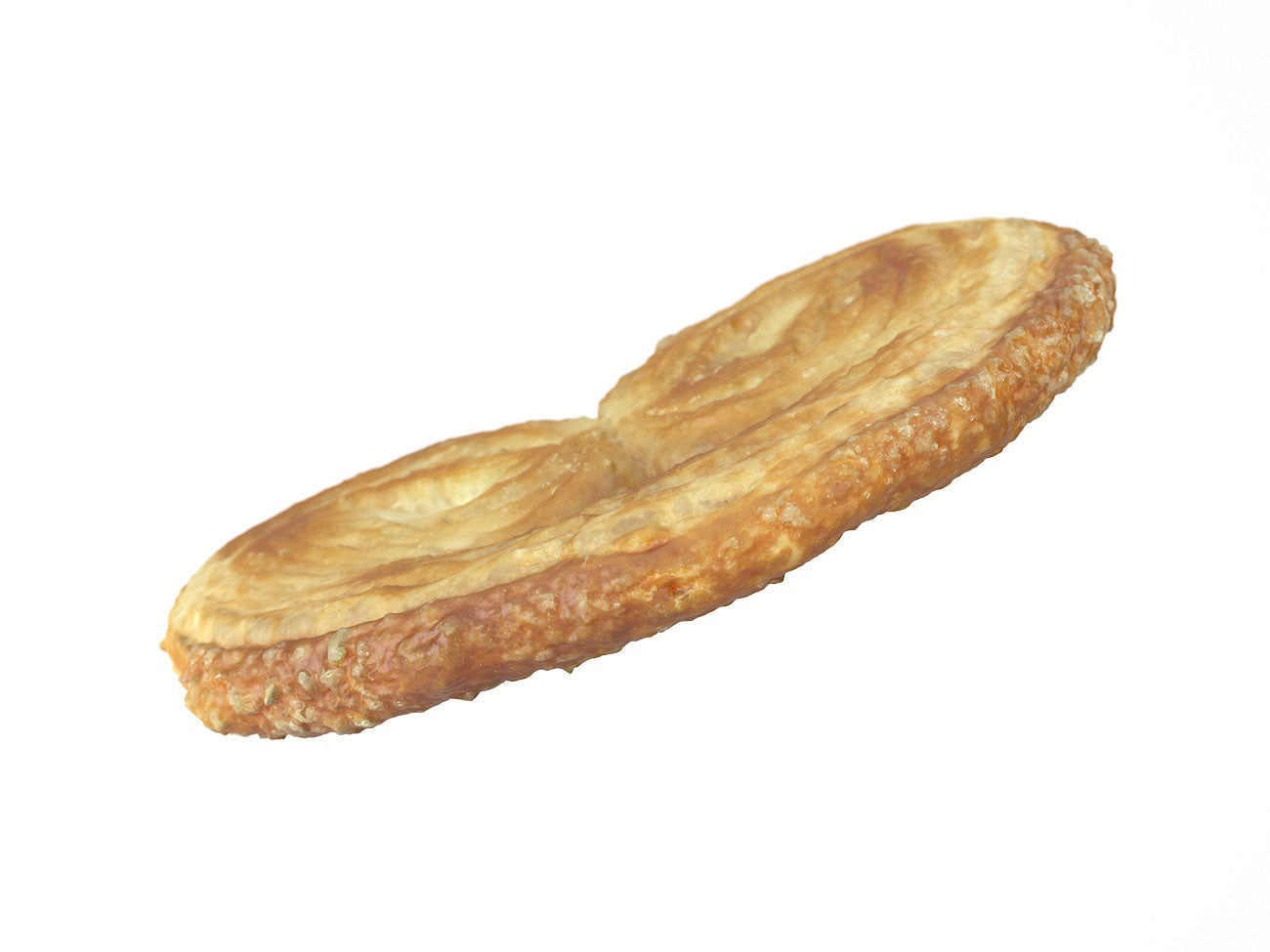 Palmier Biscuit #1