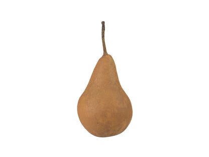 Pear #7