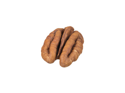 Pecan Nut #1