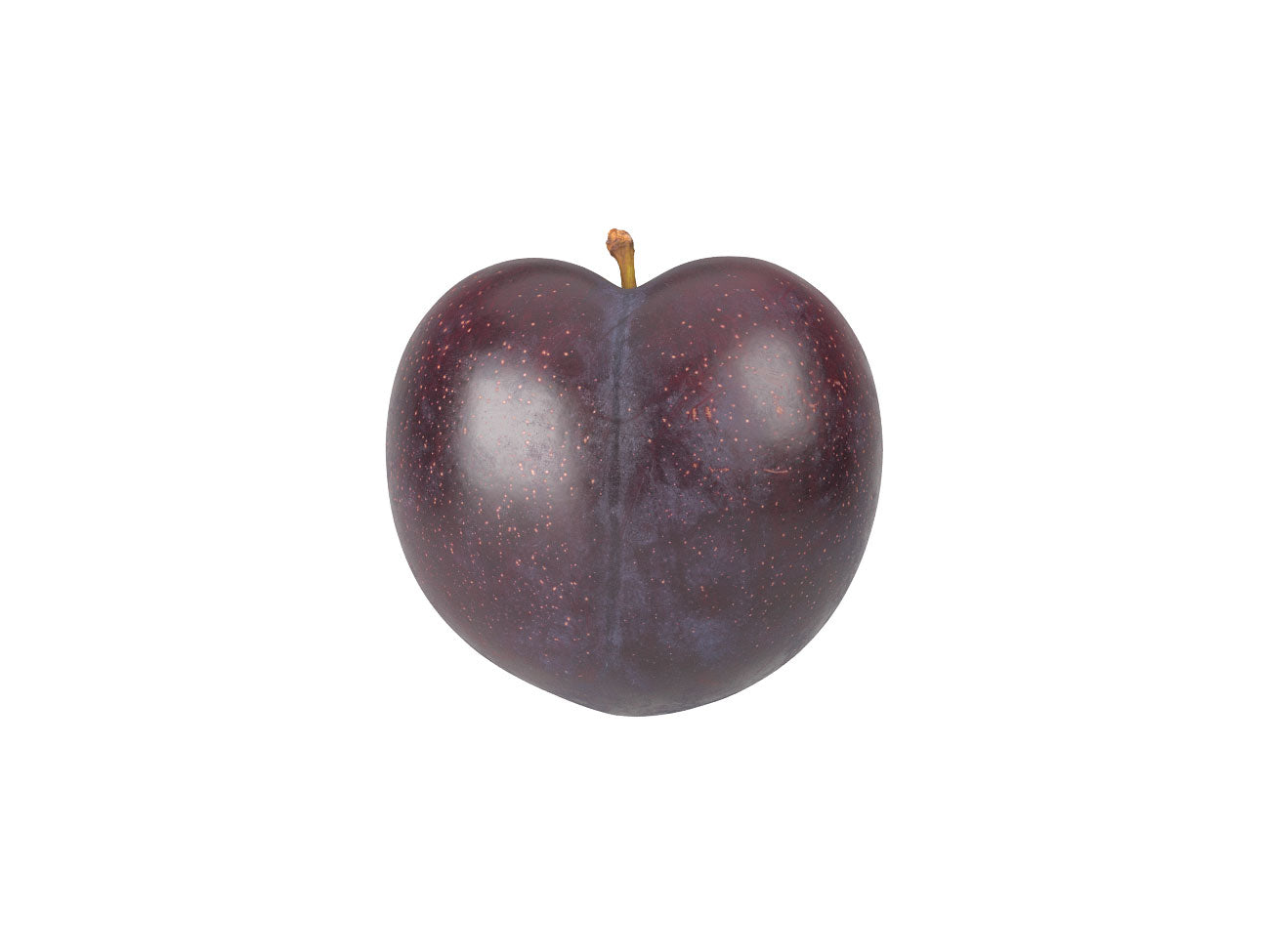 Plum #2