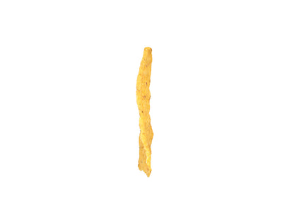 Tortilla Chip #1