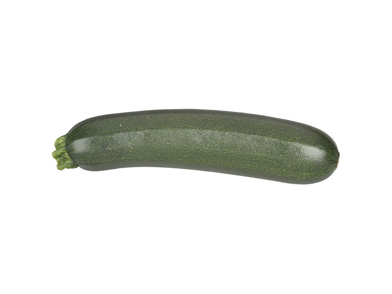 Zucchini #1