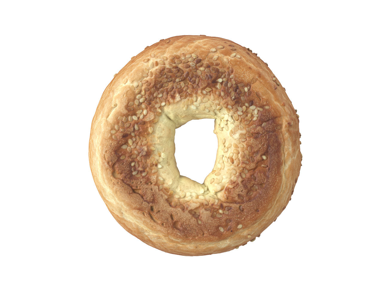 Sesame Seed Bagel #1