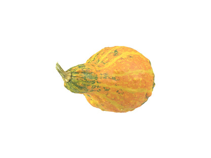 Decorative Gourd #1