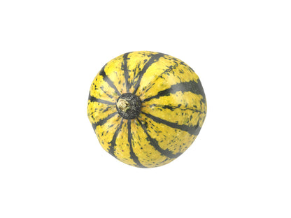 Decorative Gourd #2