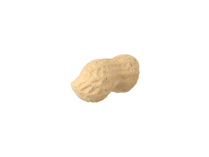 Peanut #1