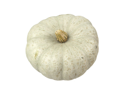 Kabocha Squash #1