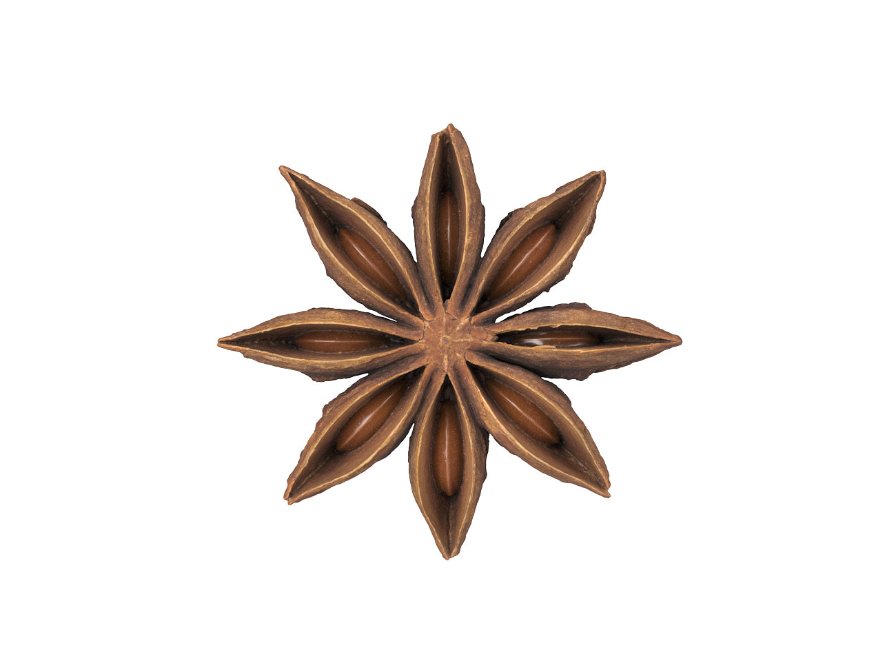 Star Anise #2