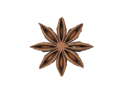 Star Anise #2