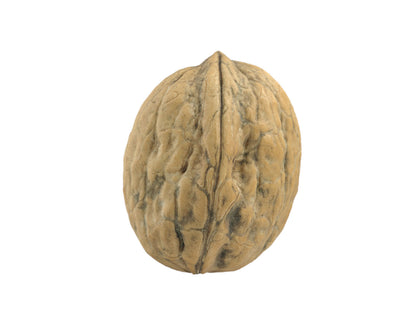 Walnut #1