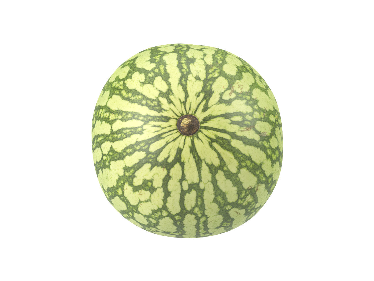 Watermelon #1