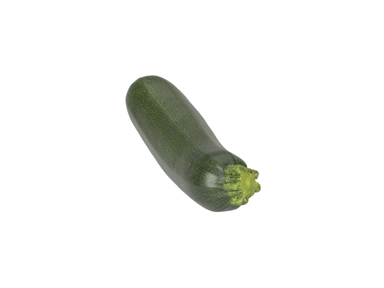 Zucchini #1