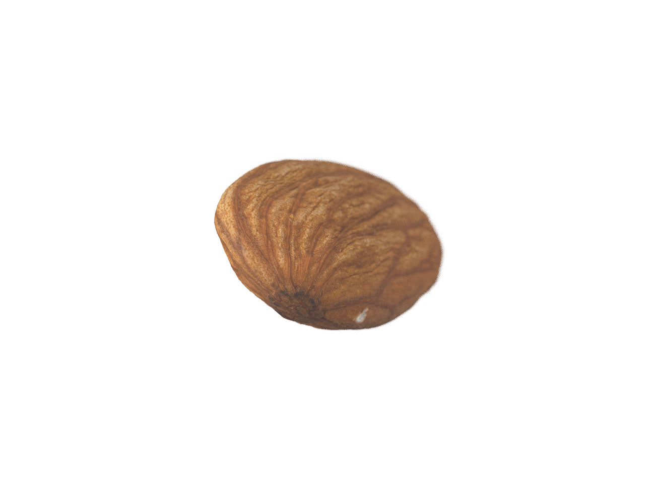 Almond #1