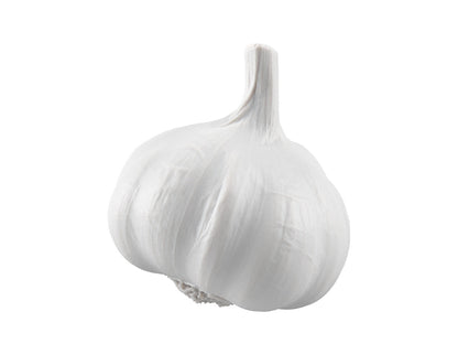 Garlic #1