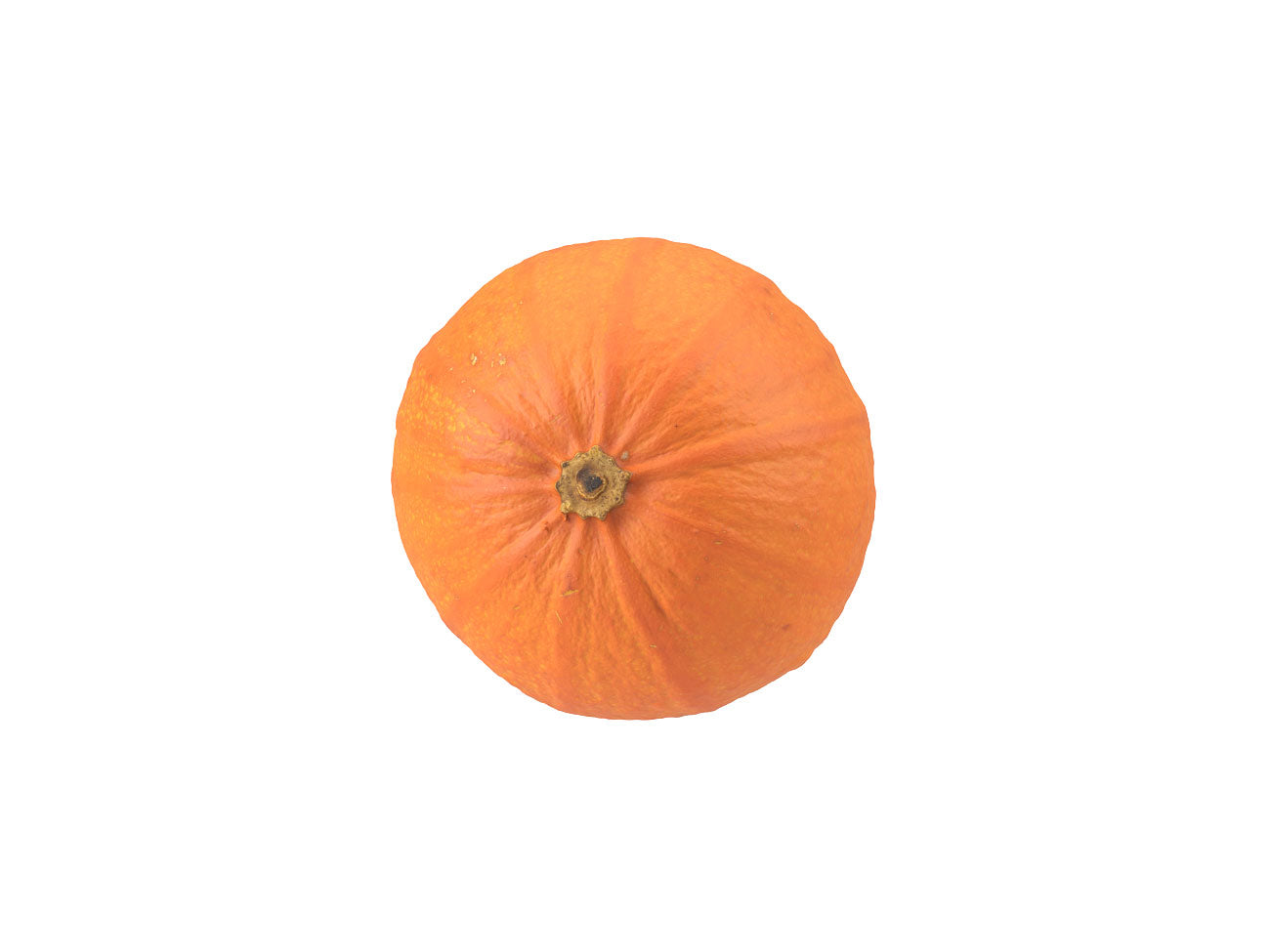 Decorative Gourd #3