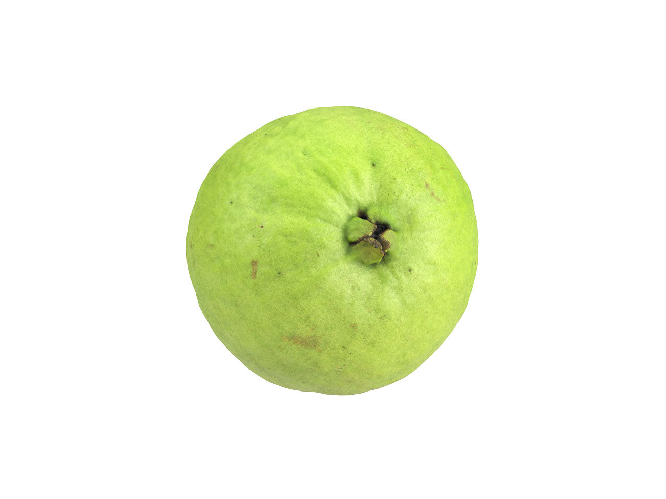 Guava #1