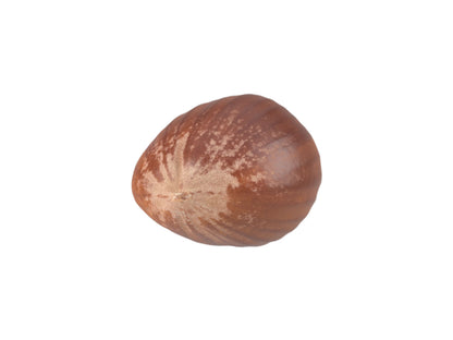 Hazelnut #2