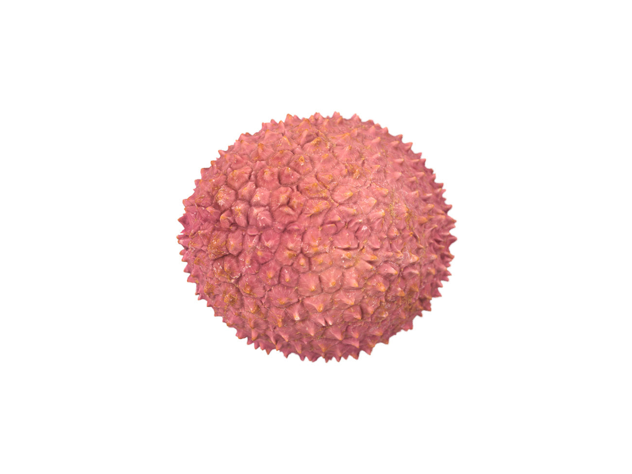 Lychee #1