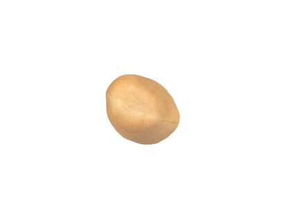 Peanut Kernel #2