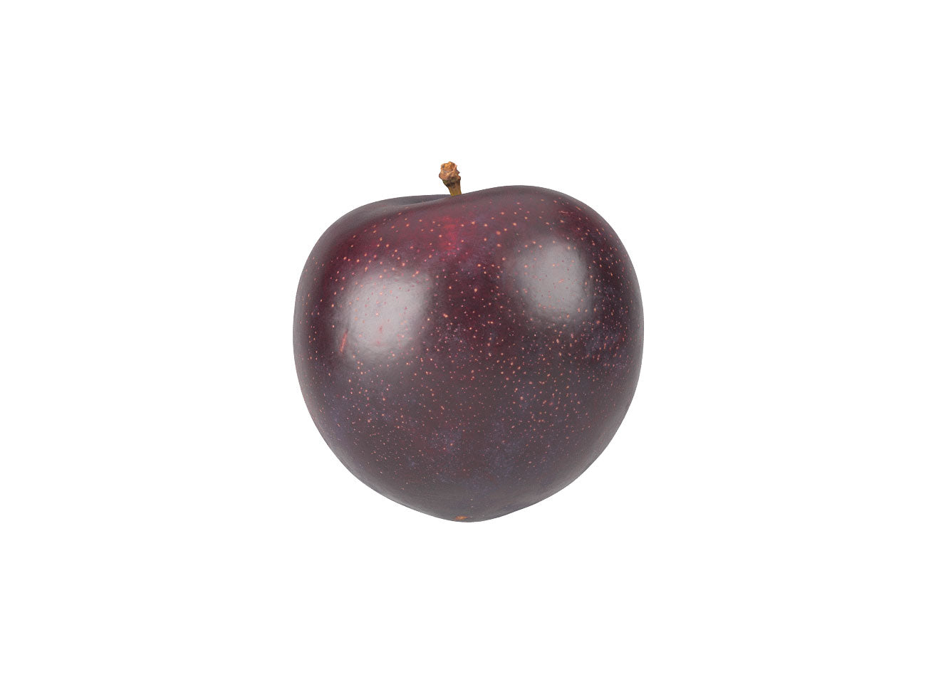 Plum #2