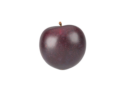 Plum #2