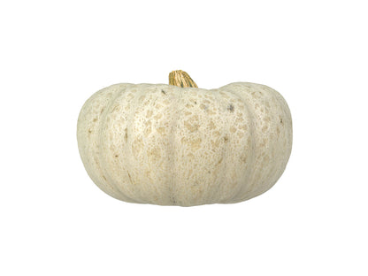 Kabocha Squash #1