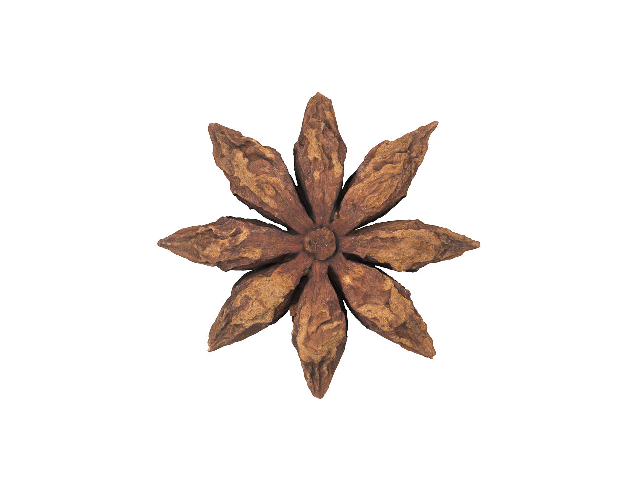 Star Anise #2