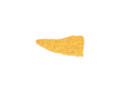 Tortilla Chip #1