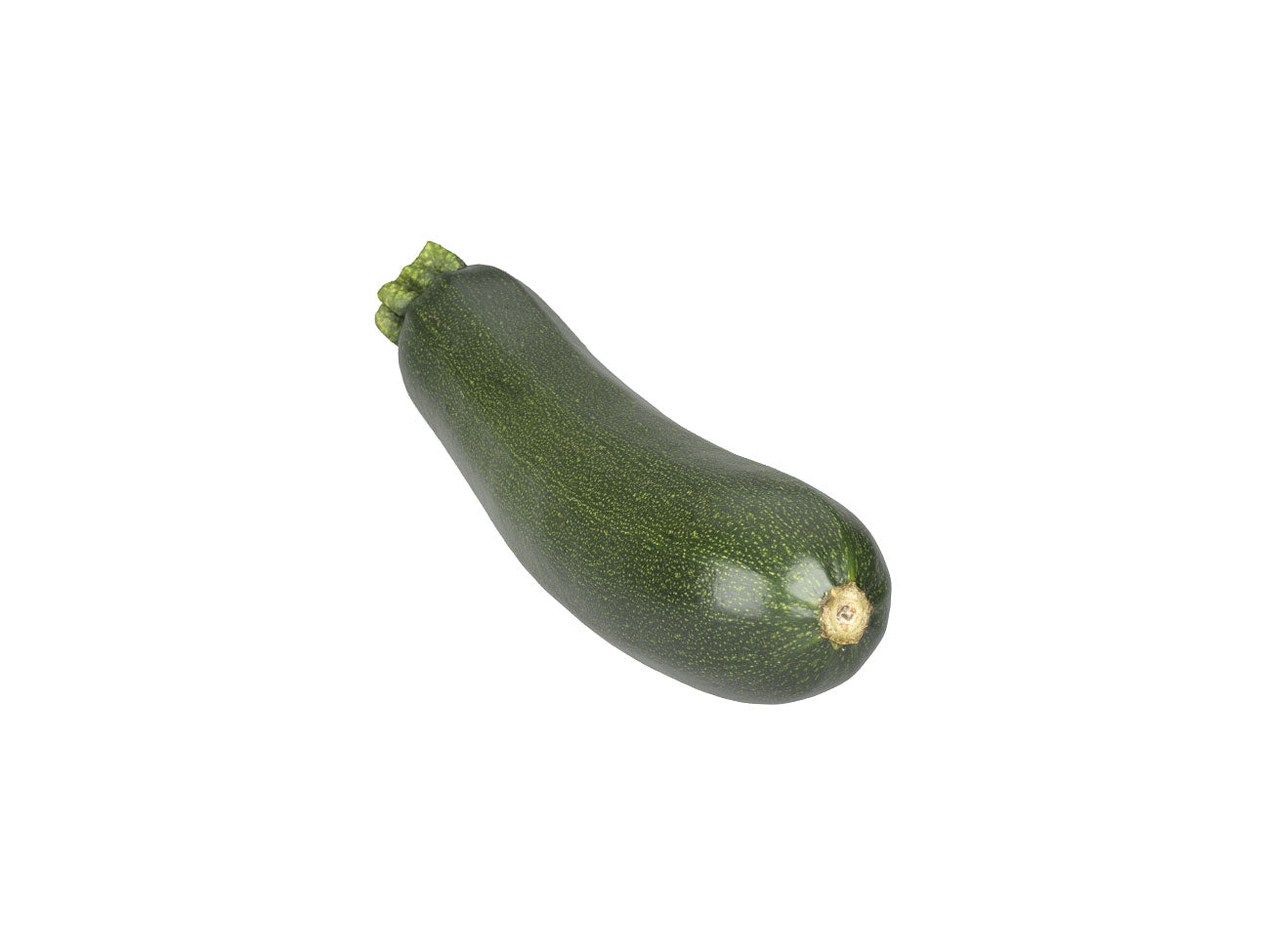 Zucchini #1