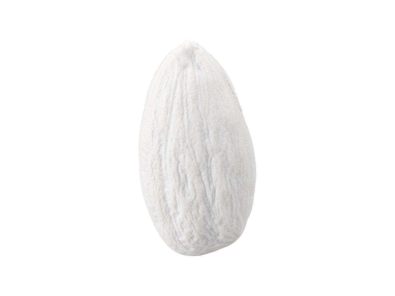 Almond #1