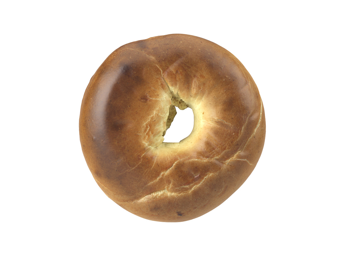 Bagel #1